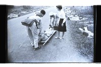 登錄號:KH2002.007.0384藏品圖，第4張