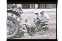 登錄號:KH2002.007.0404藏品圖，第5張