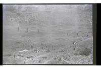 登錄號:KH2002.007.0423藏品圖，第28張