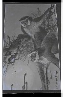 登錄號:KH2002.007.0431藏品圖，第2張