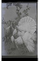 登錄號:KH2002.007.0431藏品圖，第3張