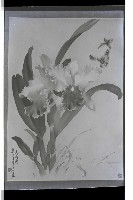 登錄號:KH2002.007.0431藏品圖，第5張