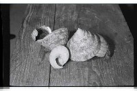 登錄號:KH2002.007.0472藏品圖，第5張