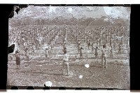 登錄號:KH2002.007.0482藏品圖，第2張