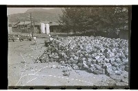 登錄號:KH2002.008.0009藏品圖，第7張