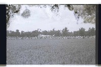 登錄號:KH2002.008.0029藏品圖，第1張