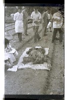 登錄號:KH2002.008.0029藏品圖，第2張