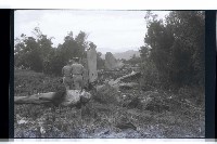 登錄號:KH2002.008.0029藏品圖，第4張