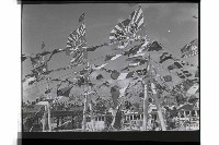 登錄號:KH2002.008.0036藏品圖，第6張