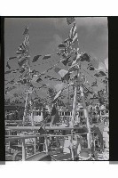 登錄號:KH2002.008.0036藏品圖，第7張