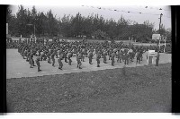 登錄號:KH2002.008.0040藏品圖，第5張