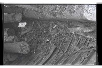 登錄號:KH2002.008.0043藏品圖，第8張