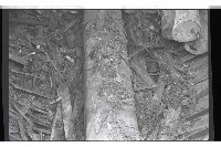 登錄號:KH2002.008.0043藏品圖，第9張