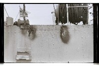 登錄號:KH2002.008.0043藏品圖，第12張