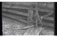 登錄號:KH2002.008.0043藏品圖，第41張