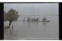 登錄號:KH2002.008.0067藏品圖，第11張