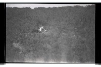 登錄號:KH2002.008.0083藏品圖，第8張