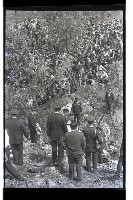 登錄號:KH2002.008.0086藏品圖，第4張