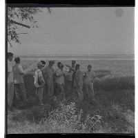 登錄號:KH2002.009.0012藏品圖，第9張