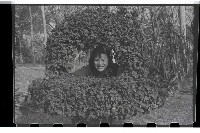 登錄號:KH2002.009.0027藏品圖，第36張