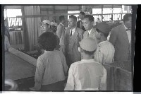 登錄號:KH2002.009.0031藏品圖，第15張