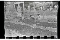 登錄號:KH2002.009.0044藏品圖，第7張