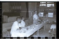 登錄號:KH2002.009.0062藏品圖，第15張