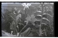 登錄號:KH2002.009.0099藏品圖，第1張