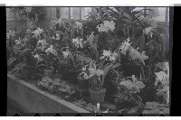 登錄號:KH2002.009.0099藏品圖，第3張