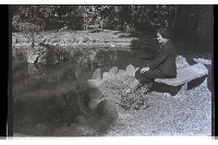 登錄號:KH2002.009.0120藏品圖，第36張