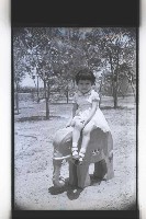 登錄號:KH2002.009.0196藏品圖，第30張