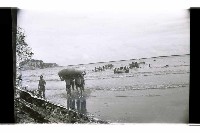 登錄號:KH2002.009.0200藏品圖，第20張