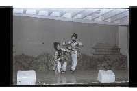 登錄號:KH2002.009.0243藏品圖，第10張