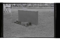 登錄號:KH2002.009.0244藏品圖，第14張