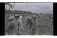 登錄號:KH2002.009.0254藏品圖，第2張