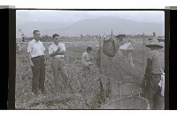 登錄號:KH2002.009.0254藏品圖，第10張