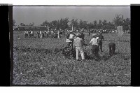 登錄號:KH2002.009.0256藏品圖，第1張