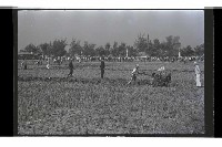 登錄號:KH2002.009.0256藏品圖，第2張