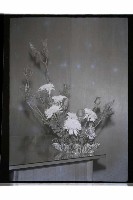 登錄號:KH2002.009.0267藏品圖，第8張