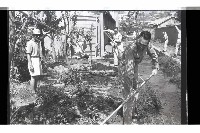 登錄號:KH2002.009.0295藏品圖，第2張