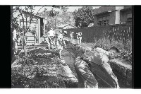 登錄號:KH2002.009.0295藏品圖，第3張