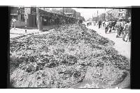 登錄號:KH2002.009.0295藏品圖，第9張