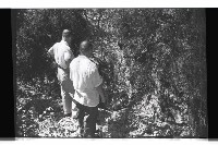 登錄號:KH2002.010.0034藏品圖，第5張