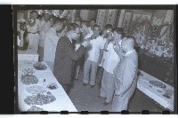 登錄號:KH2002.010.0037藏品圖，第5張