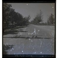 登錄號:KH2002.010.0043藏品圖，第3張