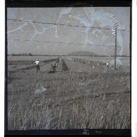 登錄號:KH2002.010.0043藏品圖，第4張