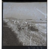 登錄號:KH2002.010.0043藏品圖，第5張