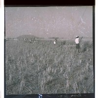 登錄號:KH2002.010.0043藏品圖，第11張