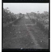 登錄號:KH2002.010.0043藏品圖，第21張