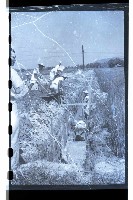 登錄號:KH2002.010.0043藏品圖，第23張